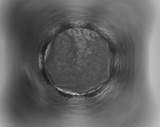 X0000093491346200711020944