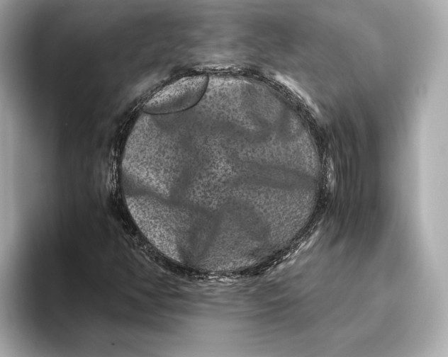 X0000093491350200711020944