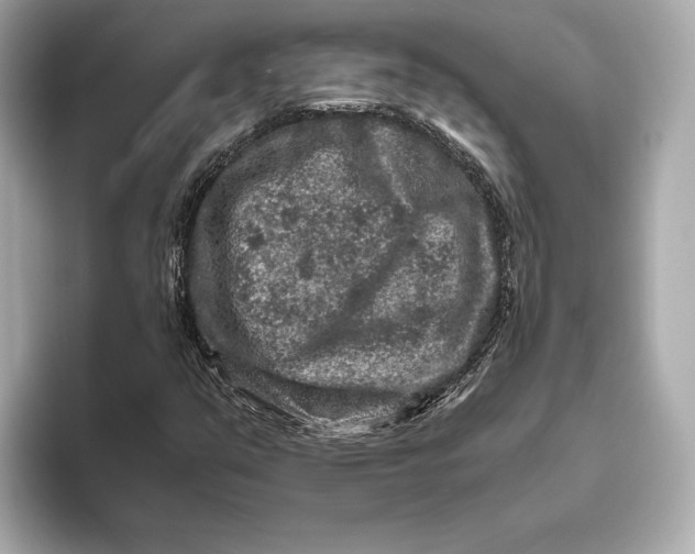 X0000093491351200711020944