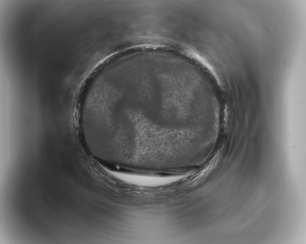 X0000093491352200711020944