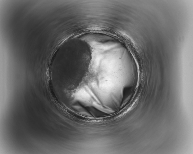 X0000093491353200711020944