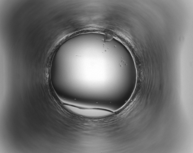 X0000093491355200711020944