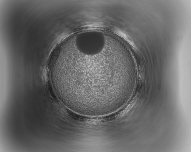 X0000093491357200711020944