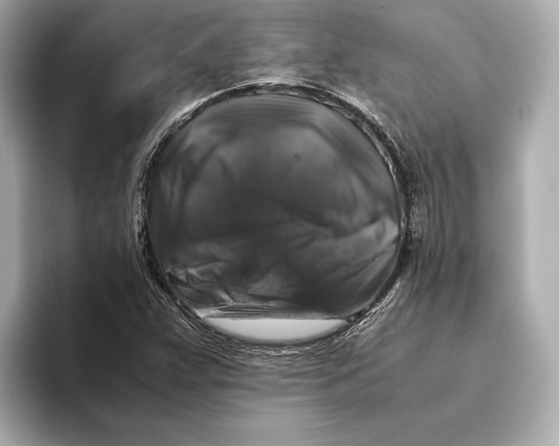 X0000093491359200711020944