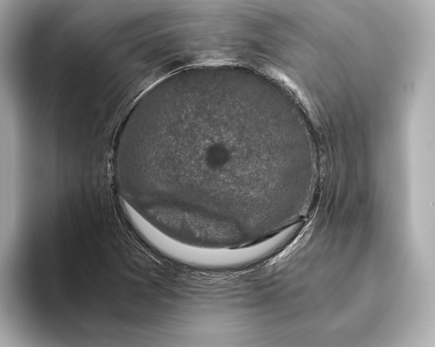 X0000093491361200711020944