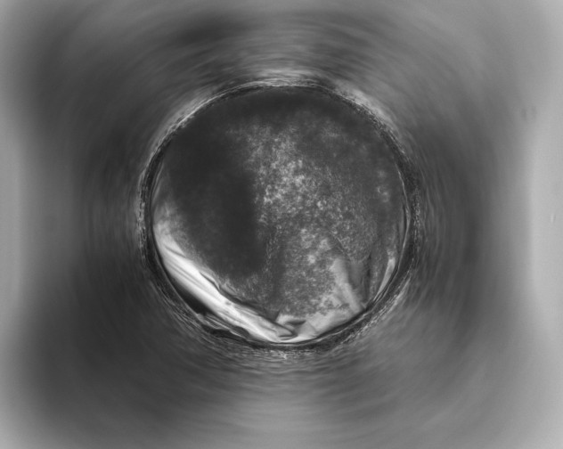 X0000093491362200711020944