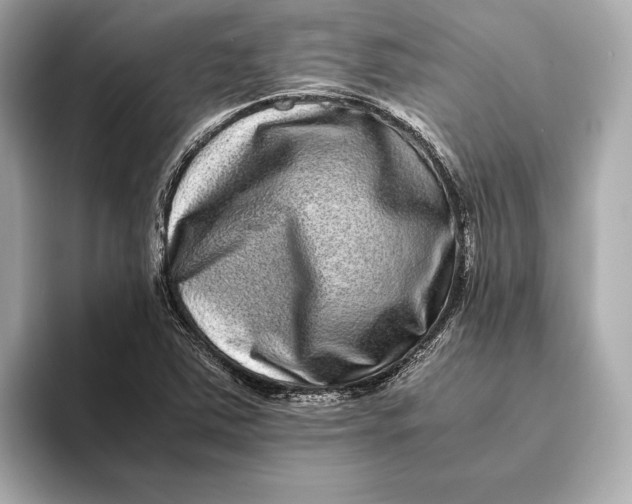 X0000093491363200711020944