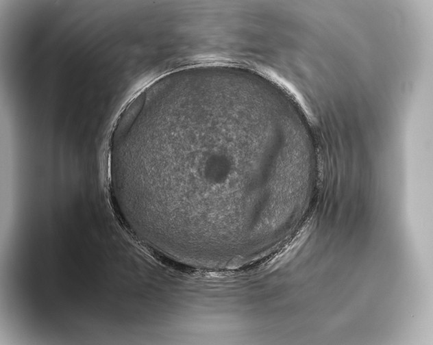 X0000093491365200711020944