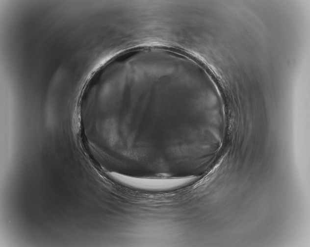 X0000093491367200711020944