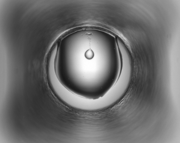 X0000093491368200711020944