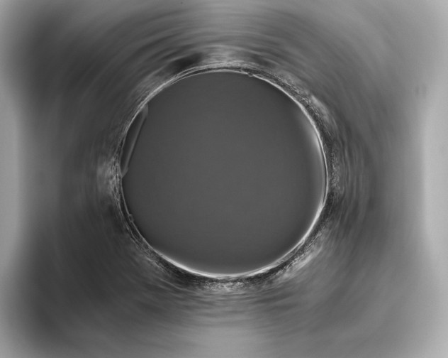 X0000093491369200711020944