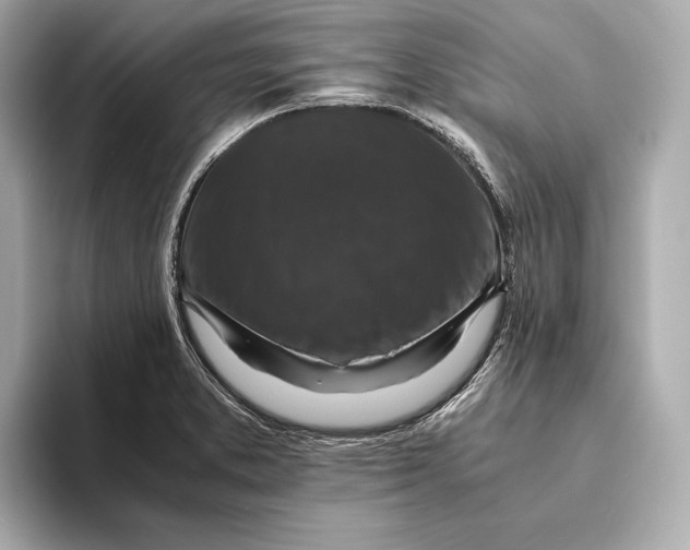 X0000093491373200711020944