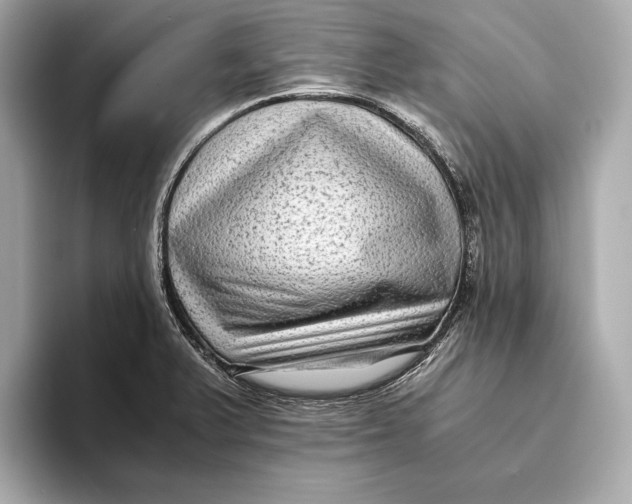 X0000093491375200711020944