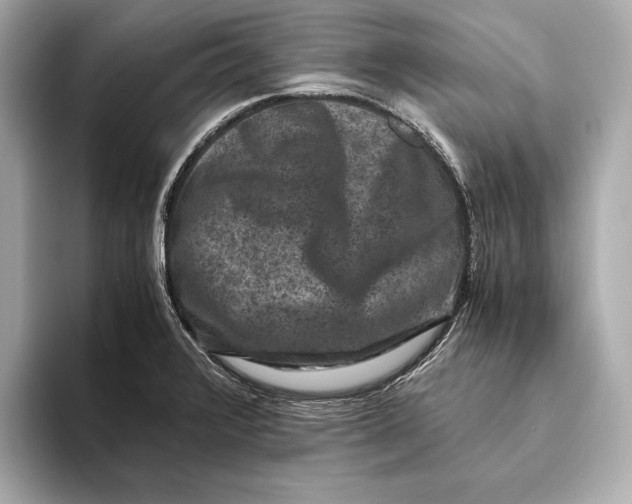 X0000093491376200711020944