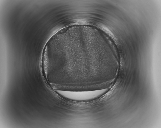 X0000093491378200711020943