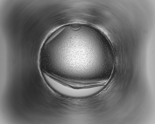 X0000093491379200711020943