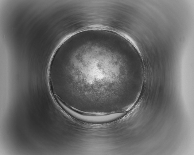 X0000093491381200711020943