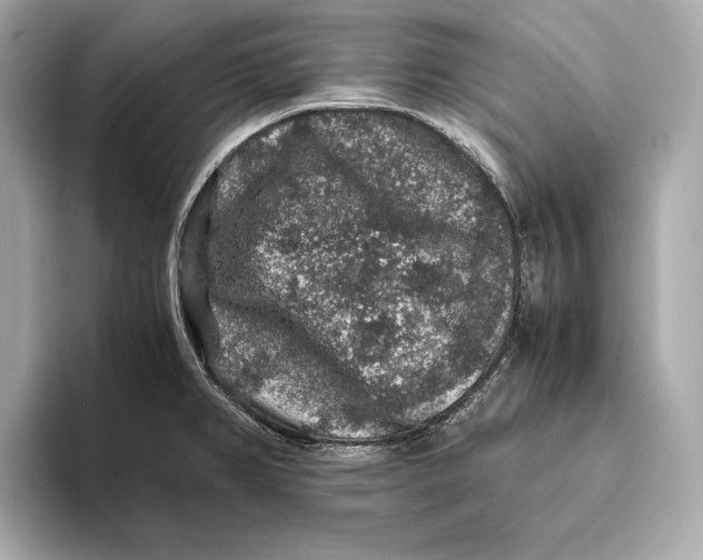 X0000093491382200711020943