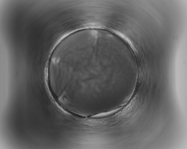 X0000093491383200711020943