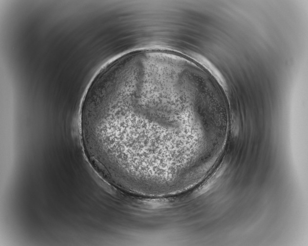 X0000093491388200711020943