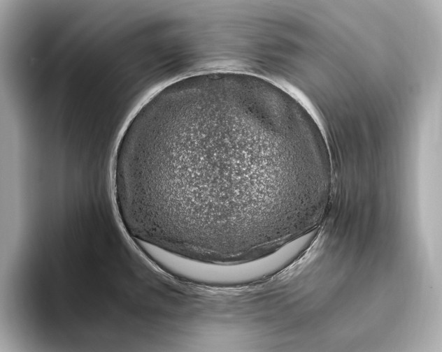 X0000093491389200711020943