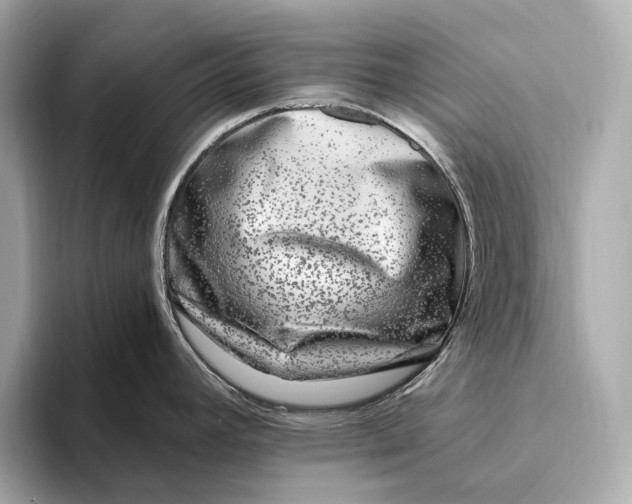 X0000093491392200711020943