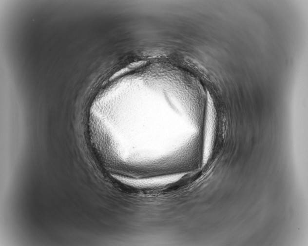 X0000093491393200711020943