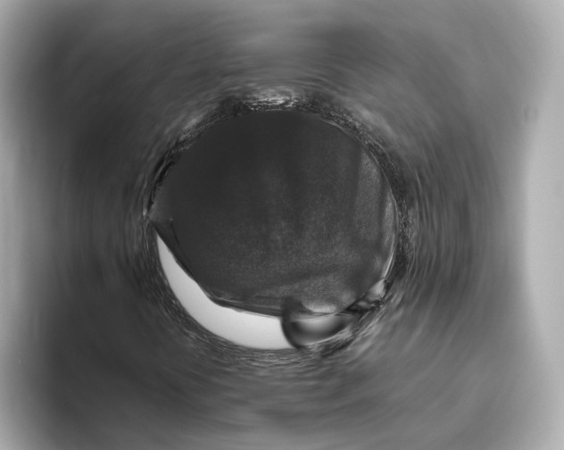 X0000093491394200711020943