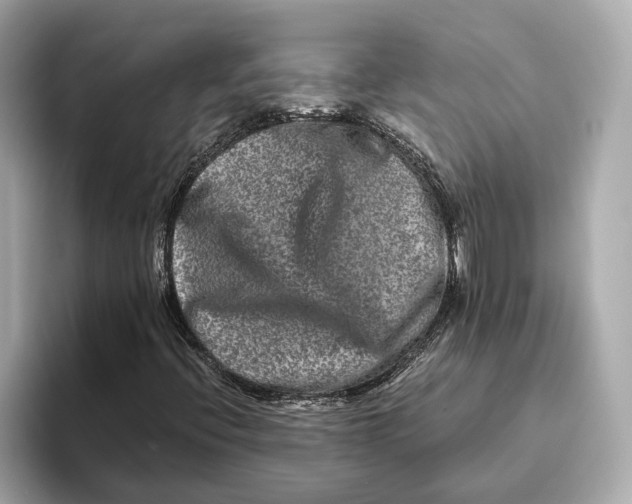 X0000093491396200711020943