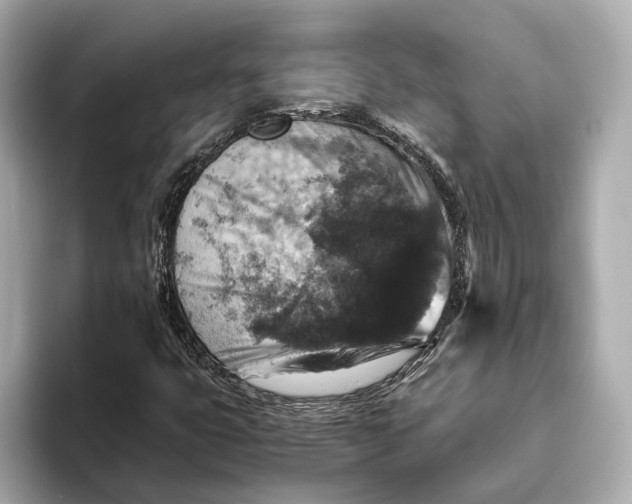 X0000093491399200711020943