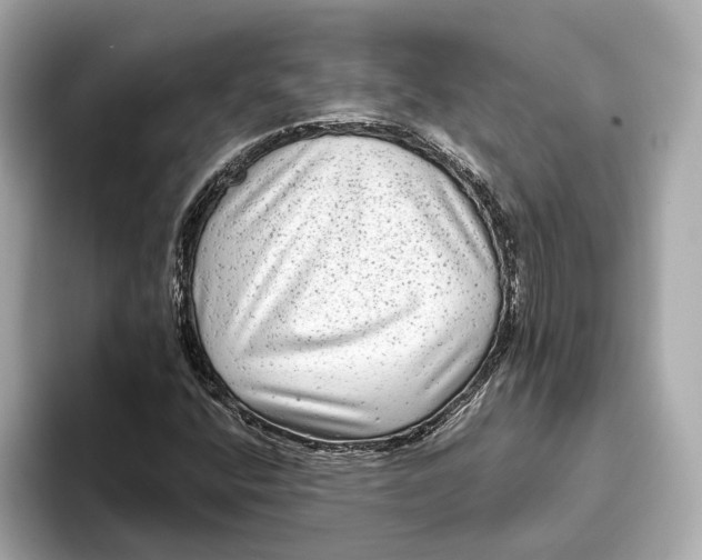 X0000093491400200711020943