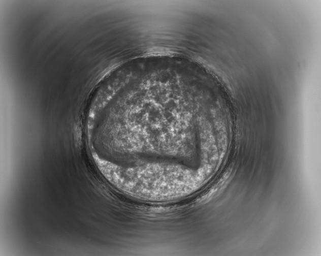 X0000093491401200711020943