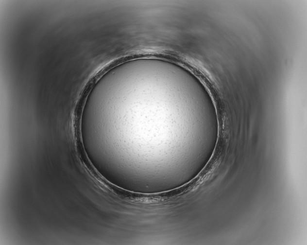 X0000093491404200711020943