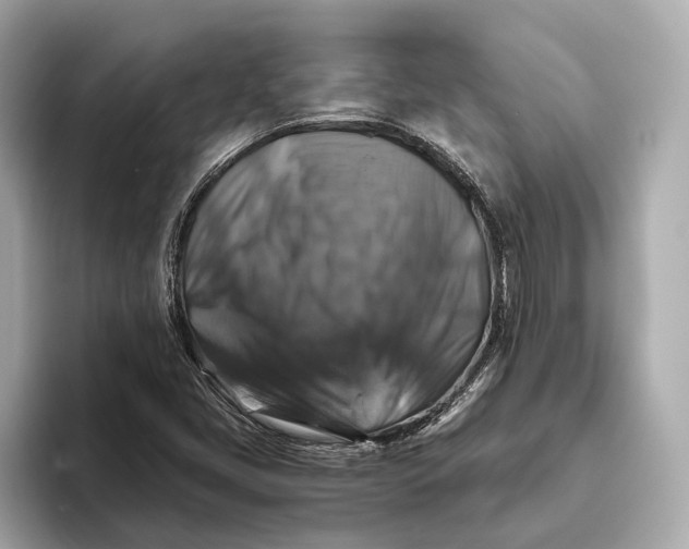 X0000093491405200711020943