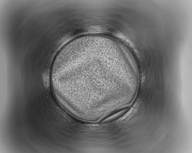 X0000093491409200711020943