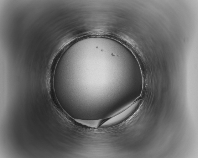 X0000093491410200711020943