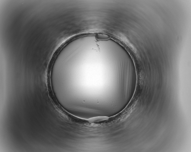 X0000093491412200711020943