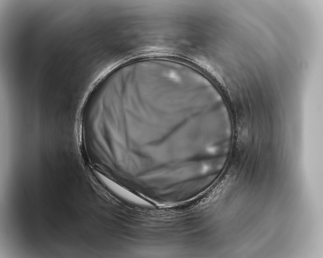 X0000093491413200711020943