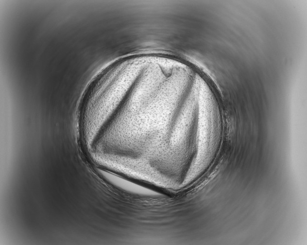 X0000093491415200711020943