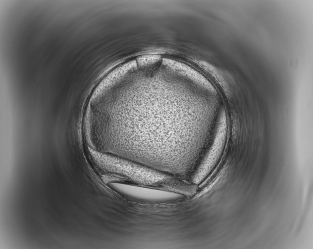 X0000093491417200711020943