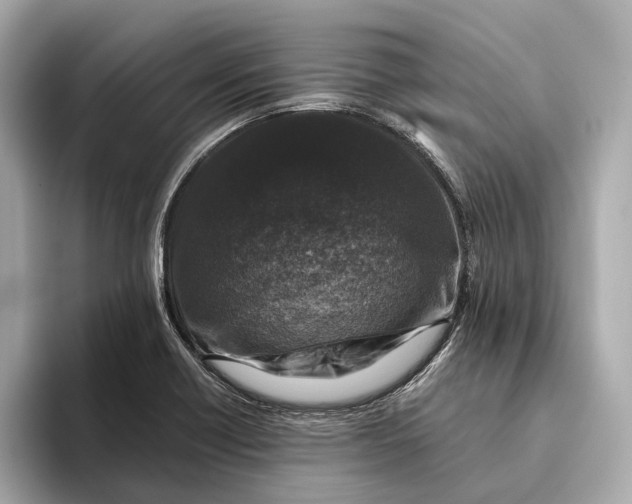 X0000093491418200711020943