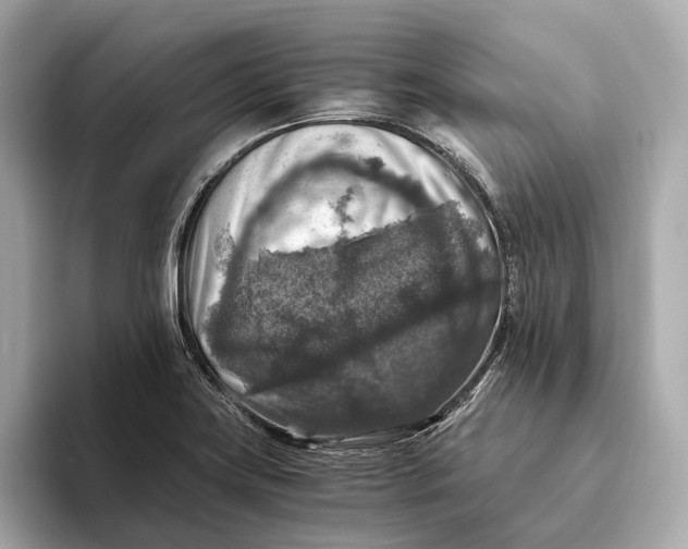 X0000093491419200711020943