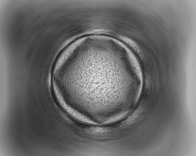 X0000093491420200711020943