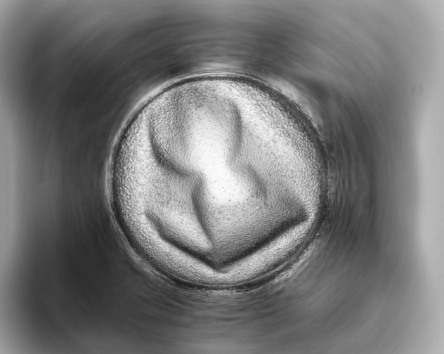 X0000093491421200711020943