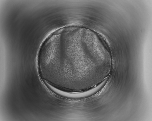 X0000093491422200711020943