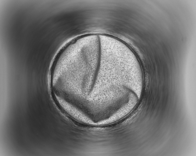 X0000093491424200711020943