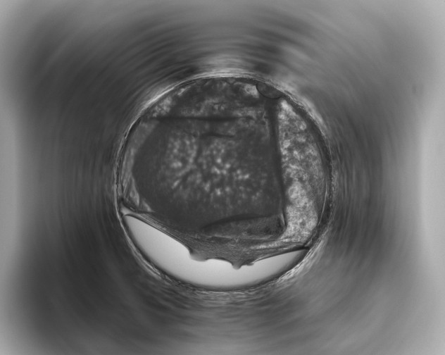 X0000093491425200711020943