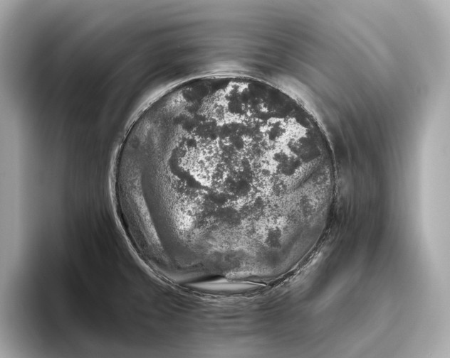 X0000093491429200711020943