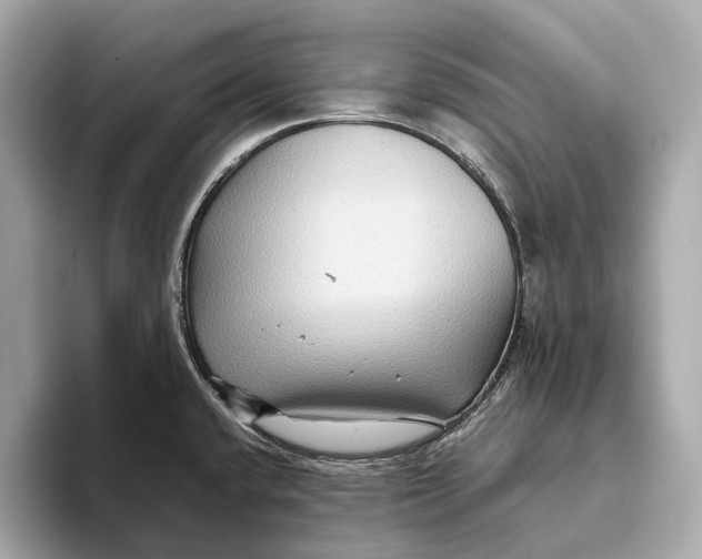 X0000093491432200711020943