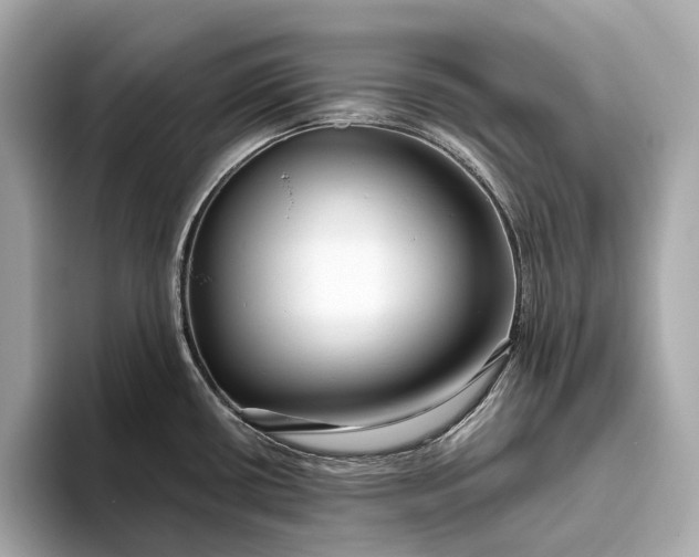 X0000093491434200711020943